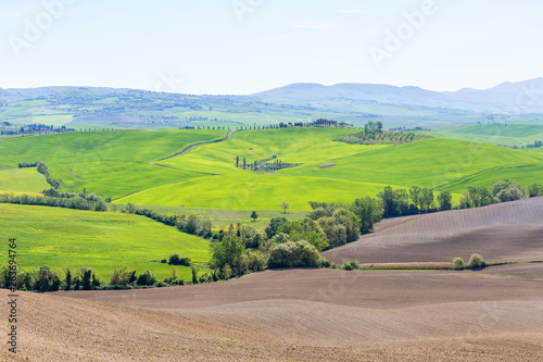 Tuscan landscape view in the spring