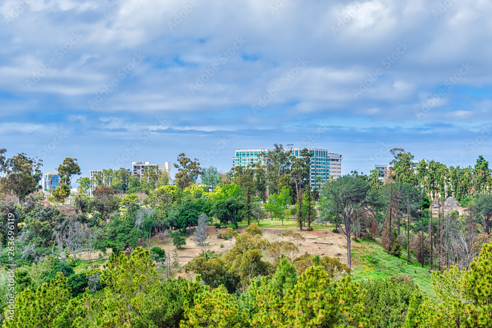 Fototapeta premium view of the California city on spring day