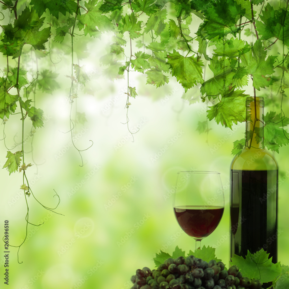 Grapea, Glass and Bottle of red wine in vineyard. Vineyard in morning light