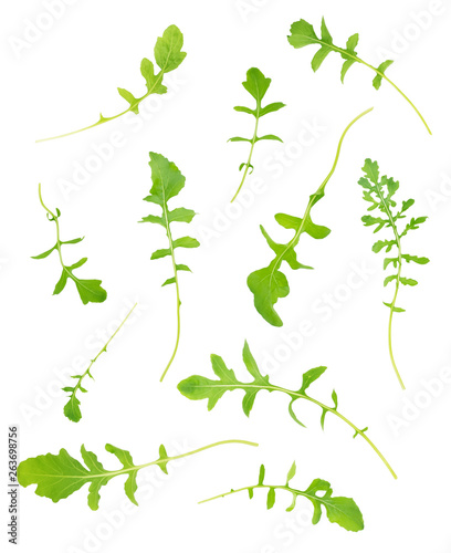 Set of arugula leaves on white background