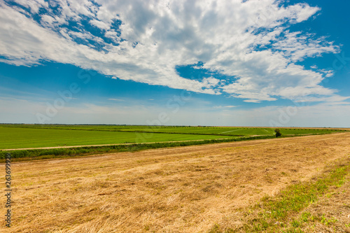 Natural park of the Po delta in Italy