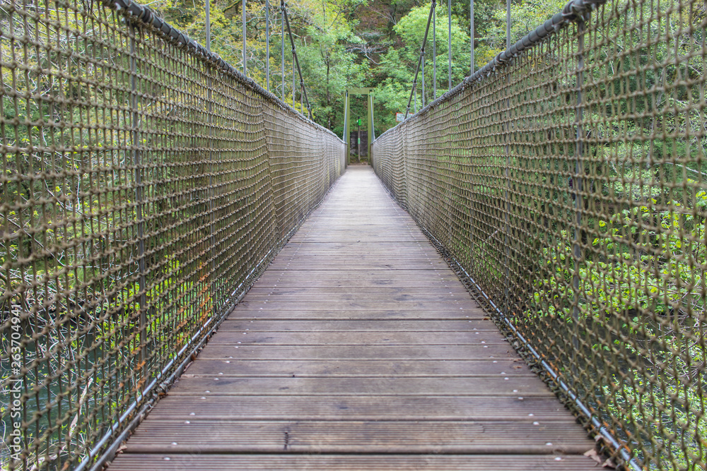 Obraz premium suspension bridge over a river