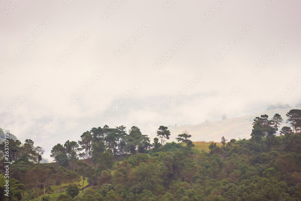 Misty morning foggy morning from the highland.Thailand. Misty morning foggy morning from the highland.Thailand.