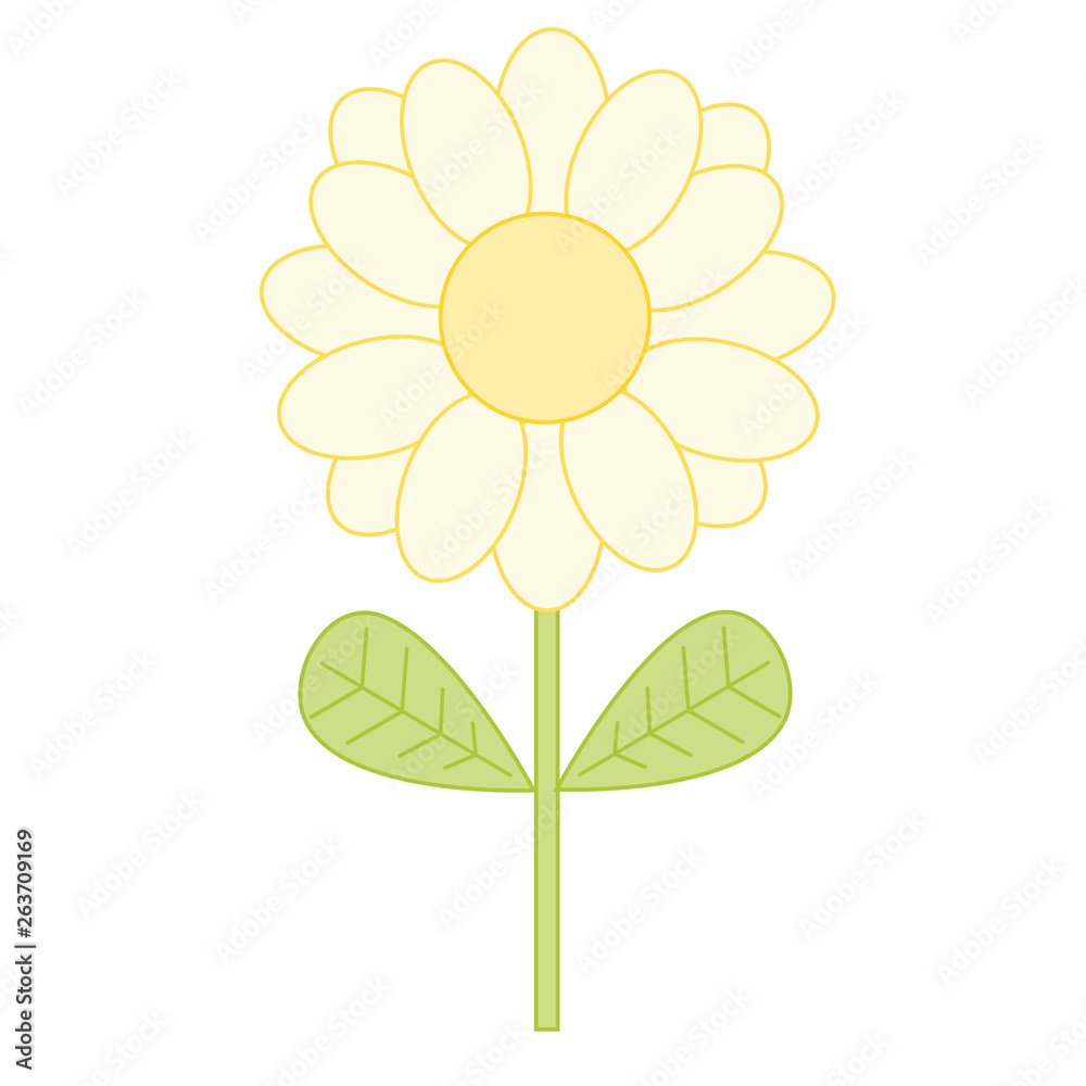 One daisy on the white background, isolated vector summer and spring element, flat style, floral object for a greeting card, a packaging, a banner, a pattern, a print and other  
