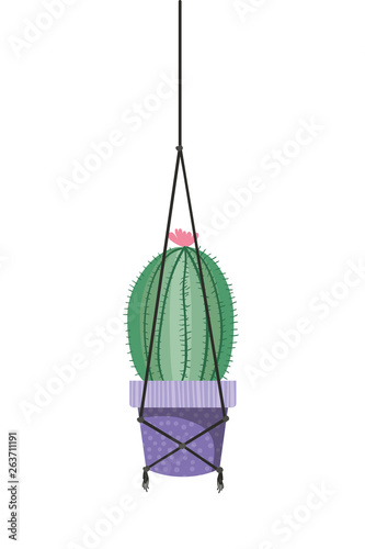 cactus on macrame hangers isolated icon