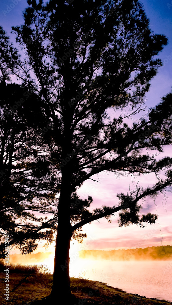 Gorgeous sunset with purple sky hues off the shore of lake with trees Gorgeous sunset with purple sky hues off the shore of lake with trees