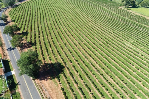 Beautiful rural aerial view. Agribusiness and pasture scene. Great landscape. Agriculcure scene. Farm scenery. Field scene. Countryside scenery. photo