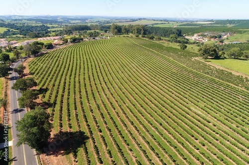 Beautiful rural aerial view. Agribusiness and pasture scene. Great landscape. Agriculcure scene. Farm scenery. Field scene. Countryside scenery. photo