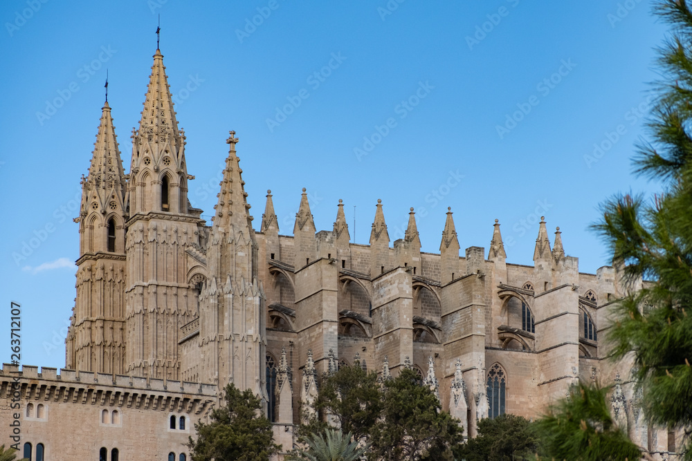 Vista Lateral de la Catedral de Santa María de Palma de Mallorca Vista Lateral de la Catedral de Santa María de Palma de Mallorca