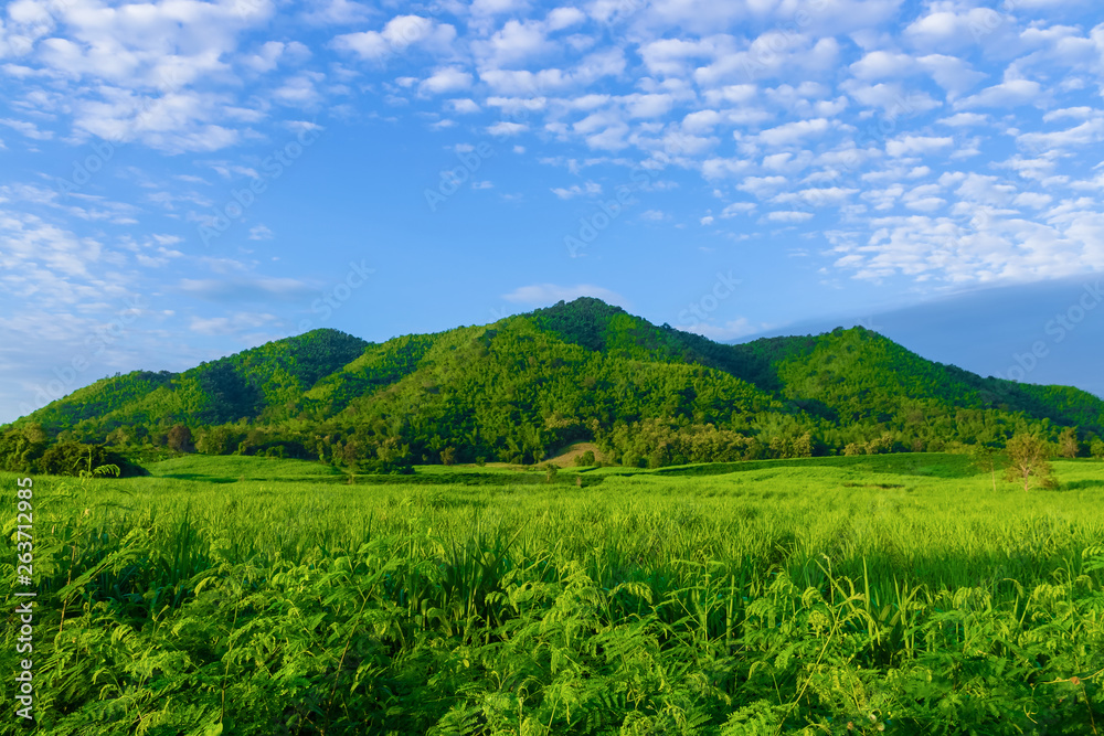 Mountain view landscape of Thailand countryside on morning. Full of green nature and beautiful cloud