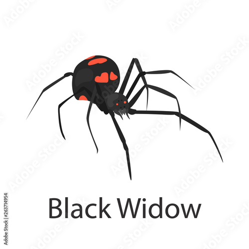 Black Widow color vector icon. Flat design
