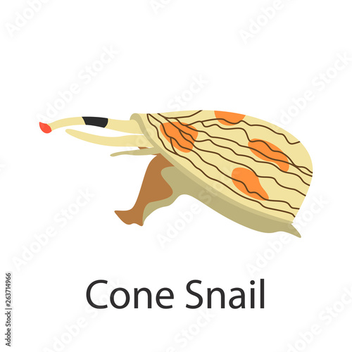 Cone snail color vector icon. Flat design