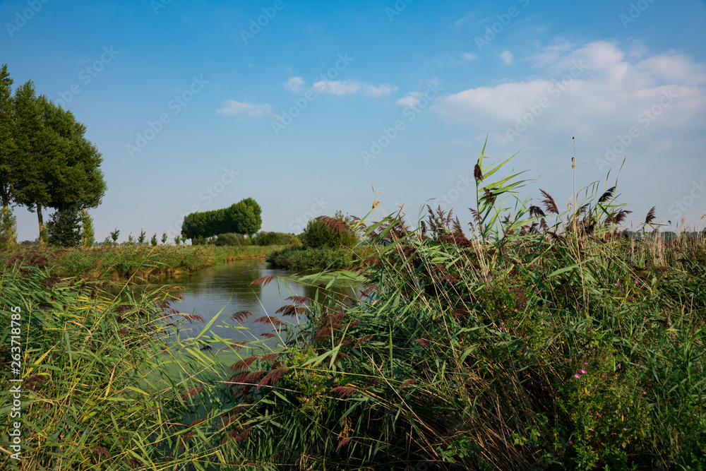 landscape with water in Sint Kruis, Belgium. Space for text landscape with water in Sint Kruis, Belgium. Space for text