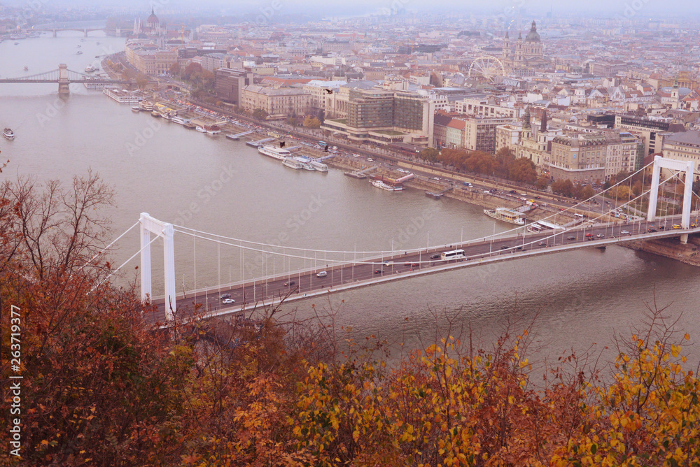 bridge over the river - Budapest city 