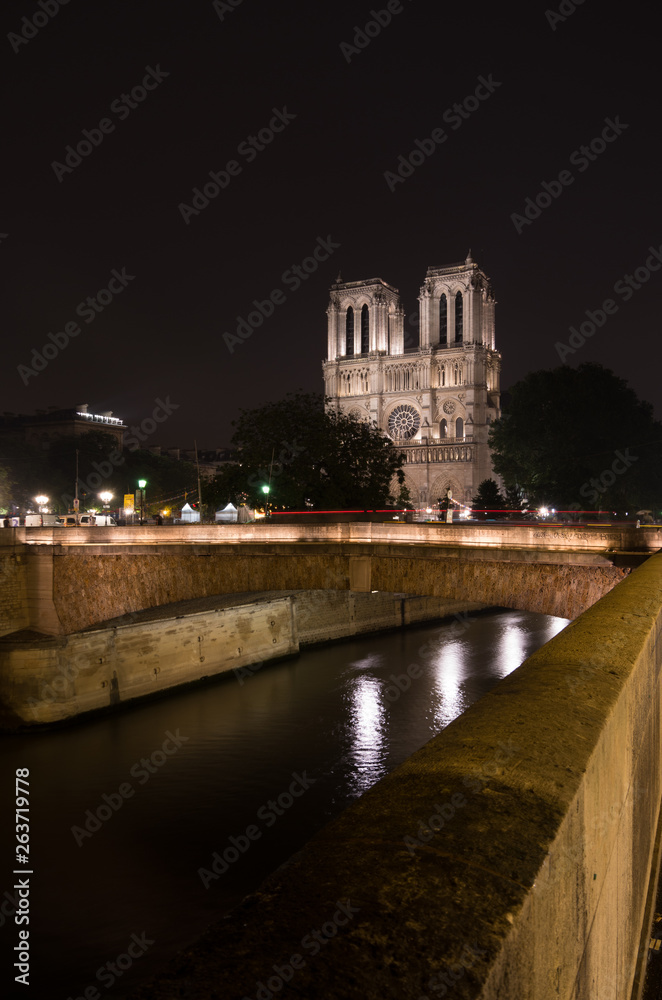 Notre Dame lit up at night