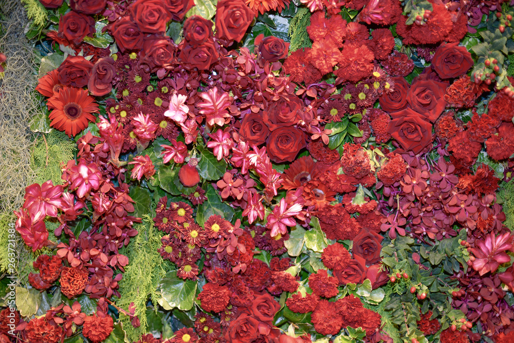 background of red flowers background of red flowers