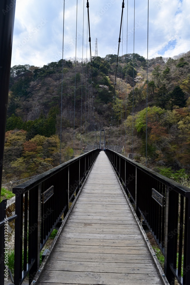 Obraz premium 鬼怒川縦岩吊り橋