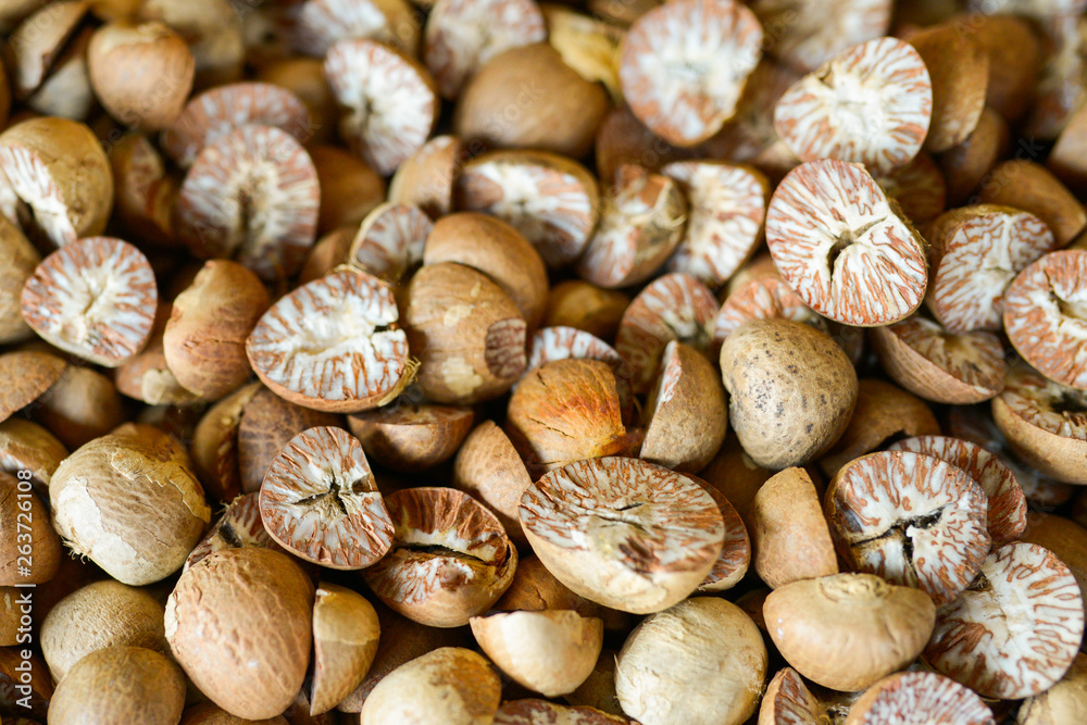 betel nut background betel nut background