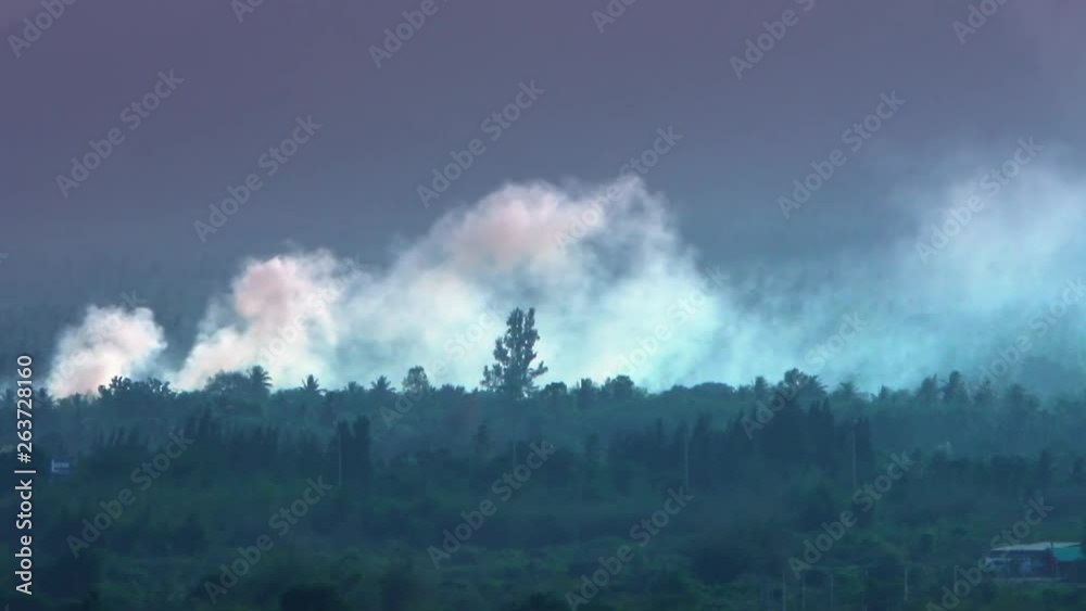 Deforestation. Logging and burning rainforest. Forest fire envrionmental problem Deforestation. Logging and burning rainforest. Forest fire envrionmental problem