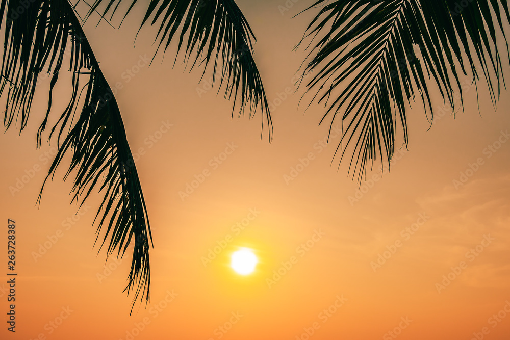 Beautiful outdoor nature with coconut leaf with sunrise or sunset time