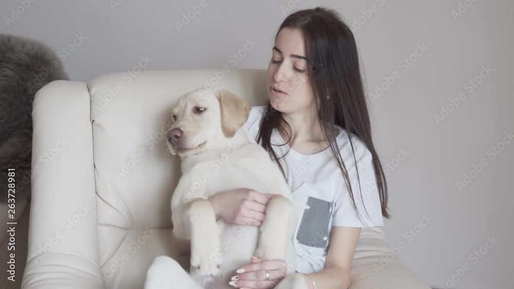 Pretty female brunette in white T-shirt sitting in the armchair and holding her pet/white dog on her lap. Dog is like a child. Girl wants to make a selfie with a dog. Pet and owner concept Pretty female brunette in white T-shirt sitting in the armchair and holding her pet/white dog on her lap. Dog is like a child. Girl wants to make a selfie with a dog. Pet and owner concept