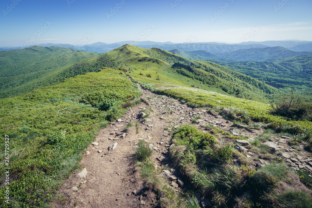 View from peak of Halicz mountain in Bieszczady National Park, Subcarpathian Voivodeship of Poland View from peak of Halicz mountain in Bieszczady National Park, Subcarpathian Voivodeship of Poland