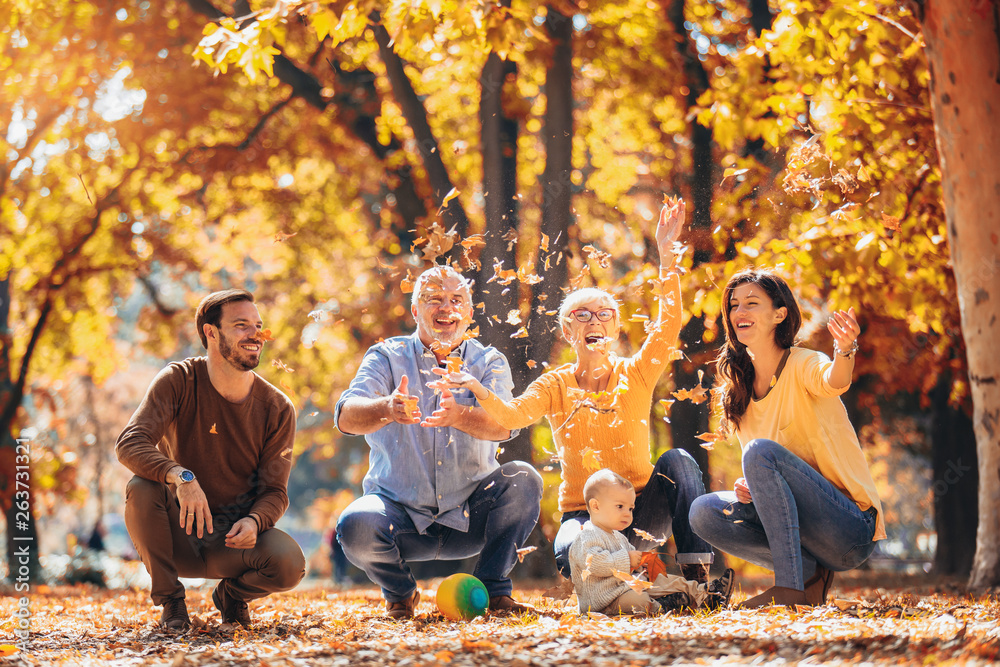 Multl generation family in autumn park having fun - obrazy, fototapety, plakaty 