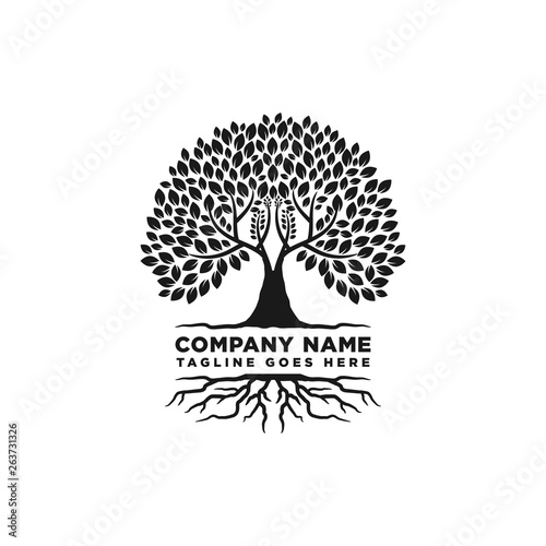 Root Of The Tree Logo Design Inspiration