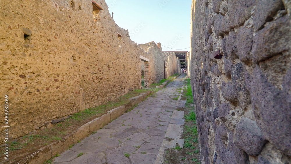 16891_A_small_pathway_inside_the_ruins_in_Pompeii_Italy.jpg