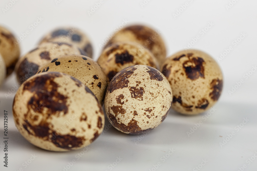 quail eggs isolated on white background. close up quail eggs isolated on white background. close up