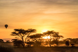Hot air balloon at sunrise over the African savanna