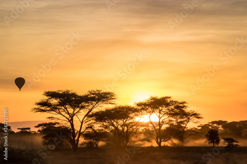Hot air balloon at sunrise over the African savanna © Miki