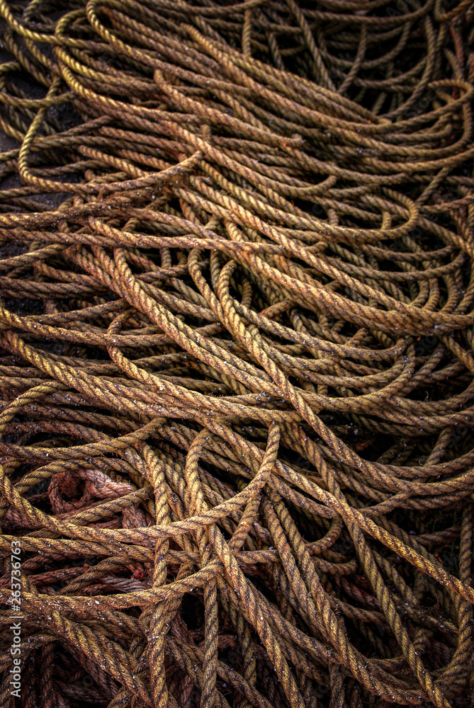 Mess of Fishing Ropes