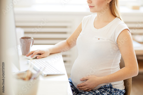 Mid section portrait of pregnant woman using computer stroking big belly  copy space