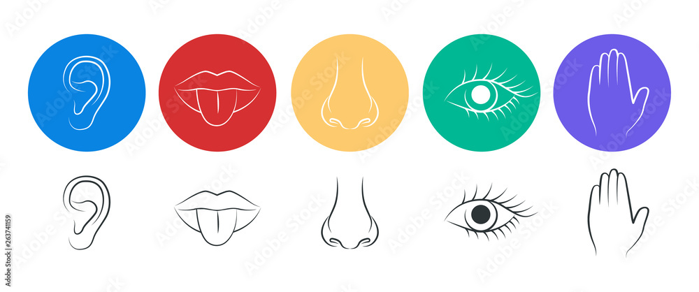 A set of five human senses. Hearing, taste, smell, sight and touch.