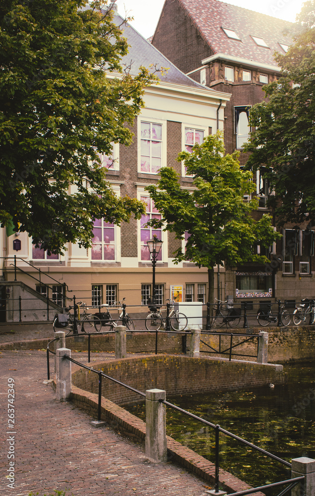 Sunny morning in the street