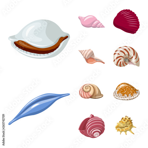 Vector illustration of seashell and mollusk symbol. Set of seashell and seafood stock vector illustration.