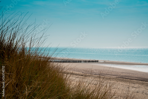 Fototapeta Naklejka Na Ścianę i Meble -  breakwater on the beach, dunes of Burgh Haamstede, The Netherlands. North Sea coast