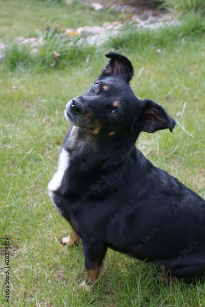 Fototapeta premium SONY DSC