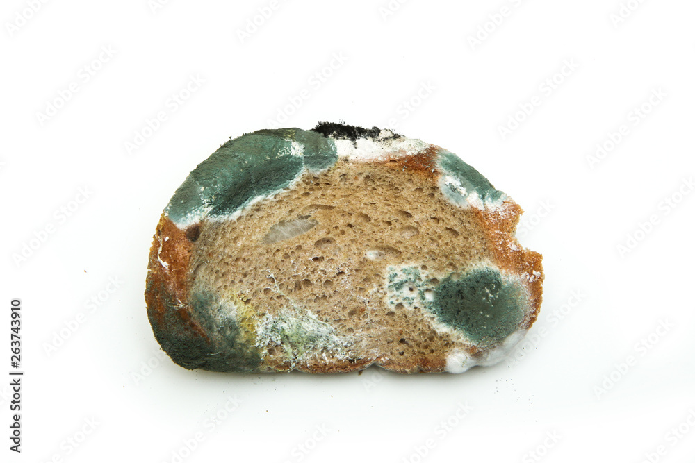 The picture of a mouldy bread. Rotten and uneatable. Isolated on white background. The picture of a mouldy bread. Rotten and uneatable. Isolated on white background.