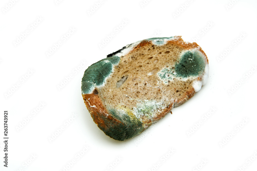 The picture of a mouldy bread. Rotten and uneatable. Isolated on white background. 