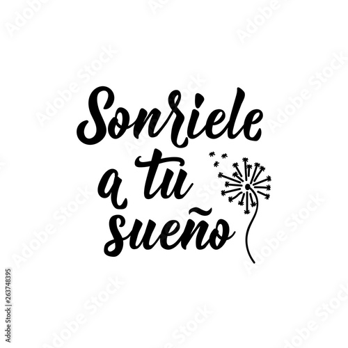 Smile to your dream - in Spanish. Lettering. Ink illustration. Modern brush calligraphy. Sonriele a tu sueno.