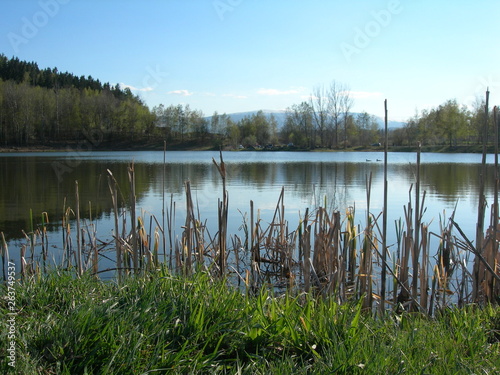 Mały staw wiosną, Jelenia Góra, Staniszów