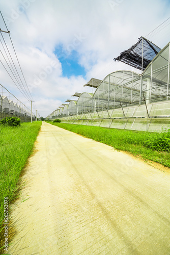 Greenhouse planting greenhouses and the blue sky white clouds on the road