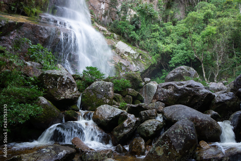 Fototapeta premium waterfall in forest