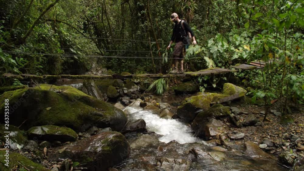 Old Mossy Bridge with Stream Under It, Tourist Walks Over in Slow Motion Old Mossy Bridge with Stream Under It, Tourist Walks Over in Slow Motion