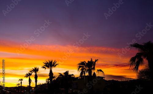 Dramatic sunset landscape at Urla, Izmir, Turkey. Beautiful blazing sunset landscape over palm trees and orange cloudy sky above it with awesome golden rays of sun light reflection on calm waves.