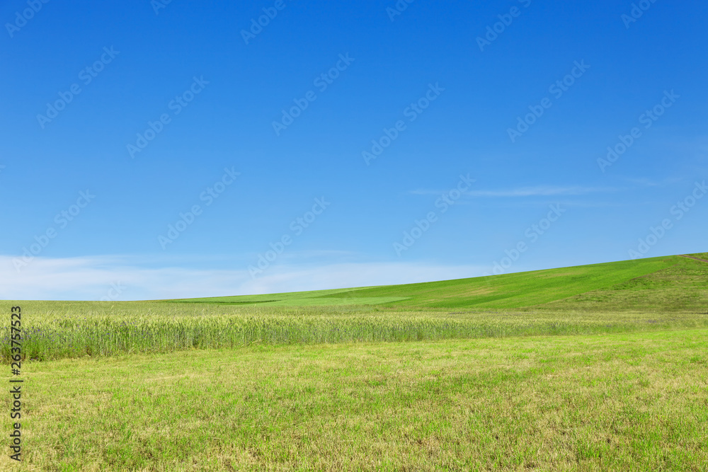 Green hill under blue sky. Ecology banner. Green hill under blue sky. Ecology banner.