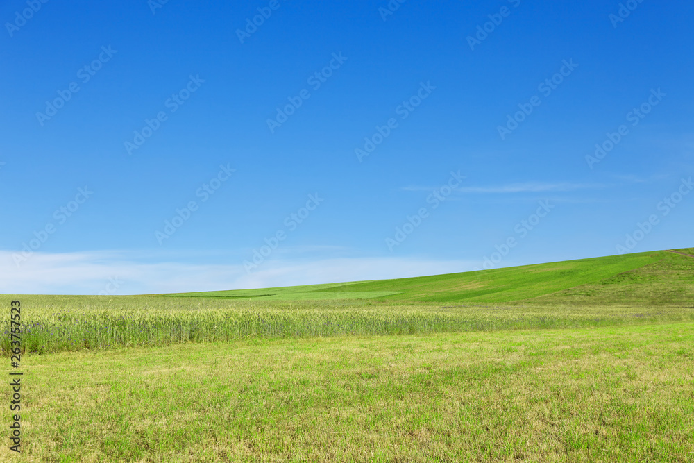 Green hill under blue sky. Ecology banner.