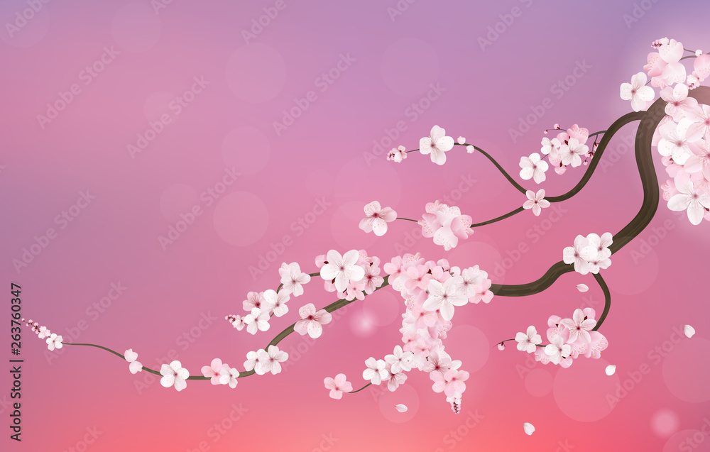 Realistic sakura japan cherry branch